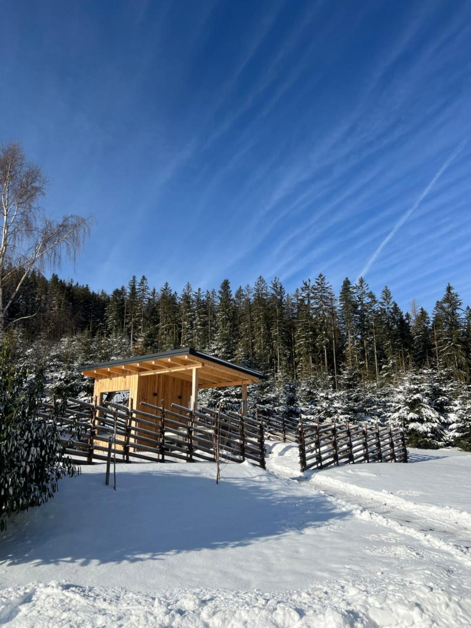 Вилла Waldheimatblick Санкт-Катрайн-ам-Хауэнштайн Экстерьер фото